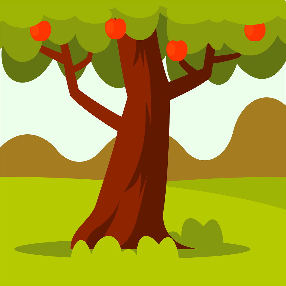 Apple tree