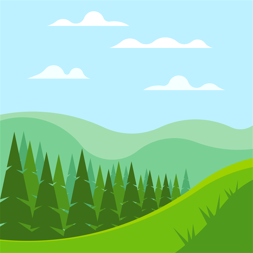 Coniferous forest