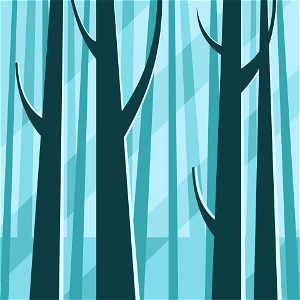 Forest at dawn