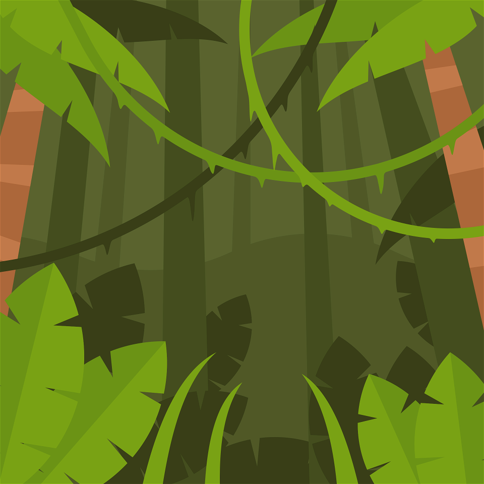 Jungle forest