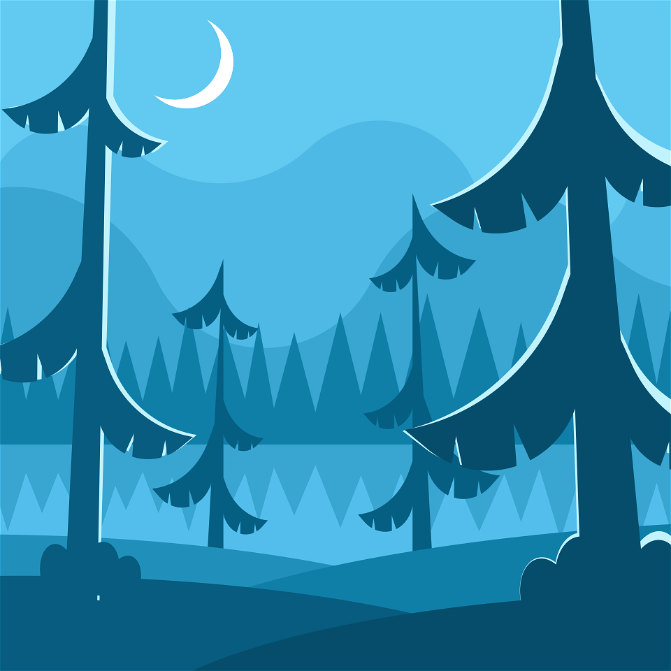 Night forest