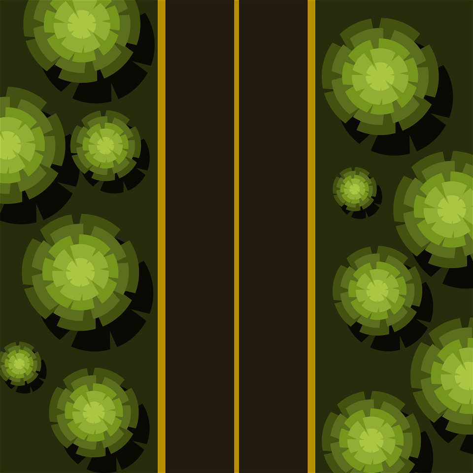Road through the forest