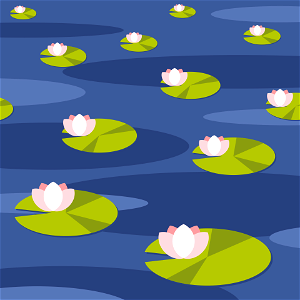 Water lilies