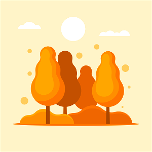 Autumn sunrise