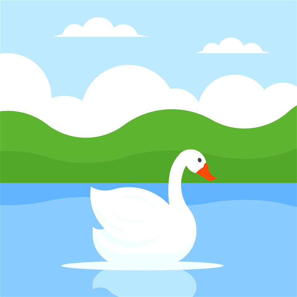 Beautiful swan
