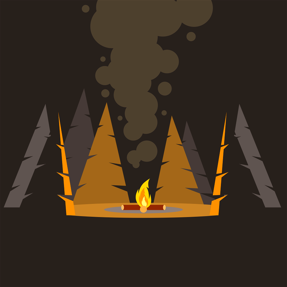 Bonfire in the forest