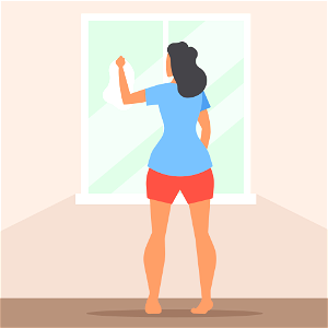 Cleaning windows