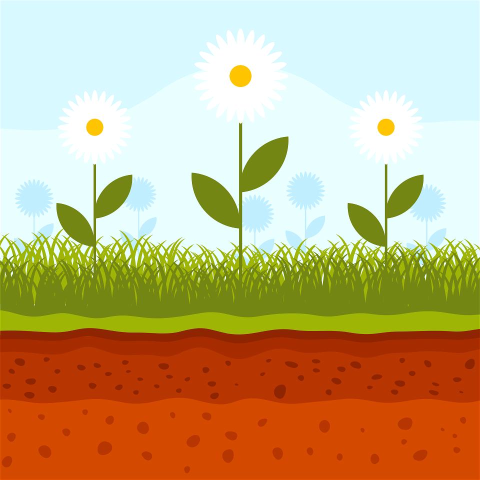 Garden flowers