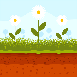 Garden flowers