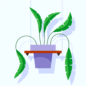 Houseplant on wall