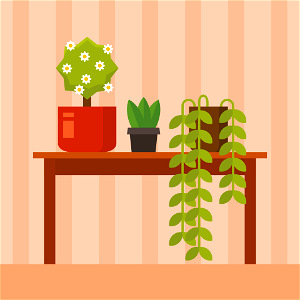 Houseplants