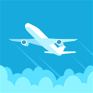 Plane takes off