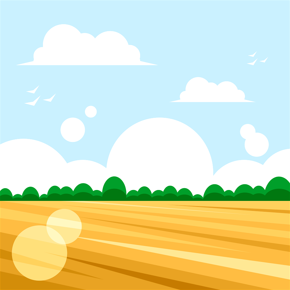 Plowed field