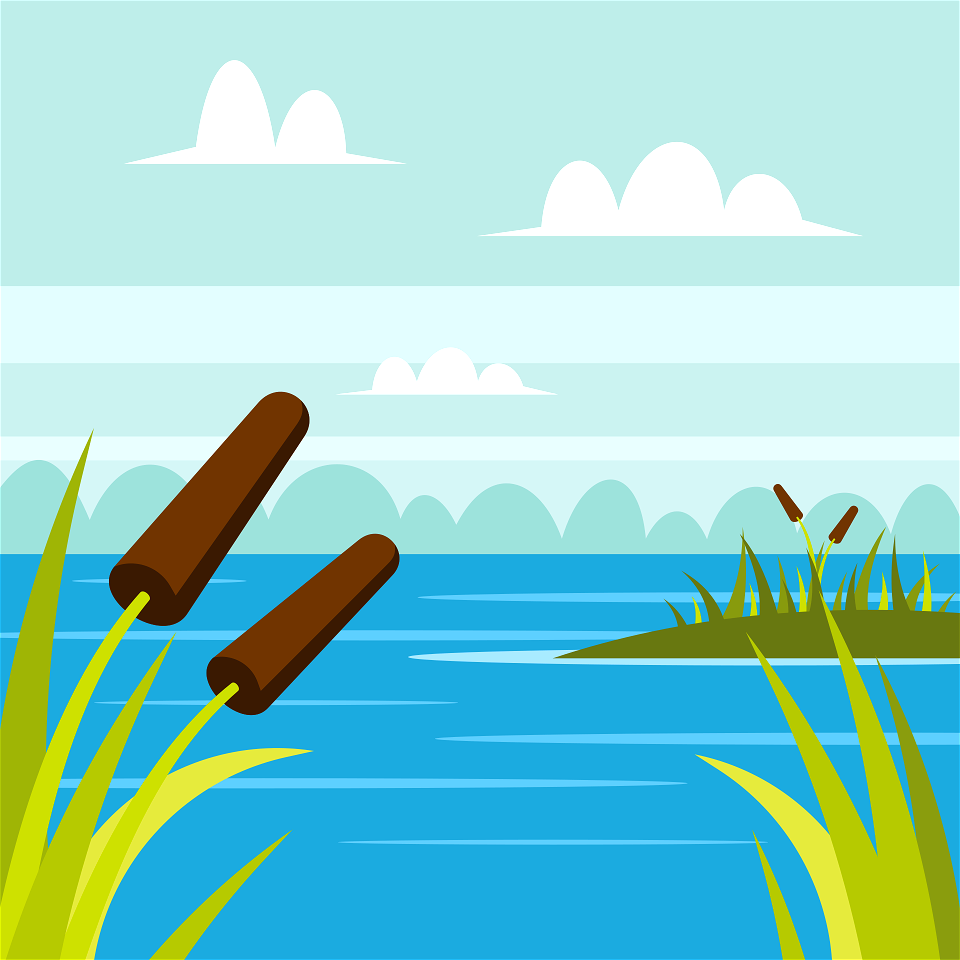 Swamp or lake