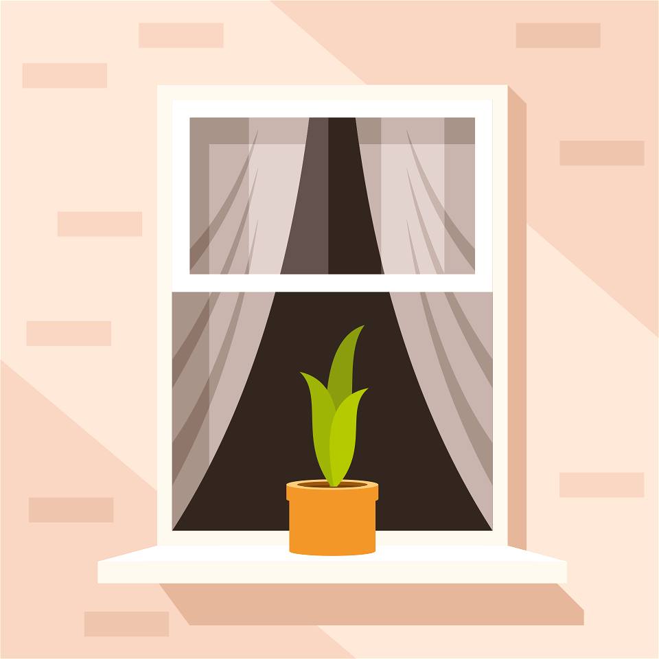 Window with flower