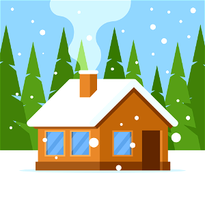 Winter house