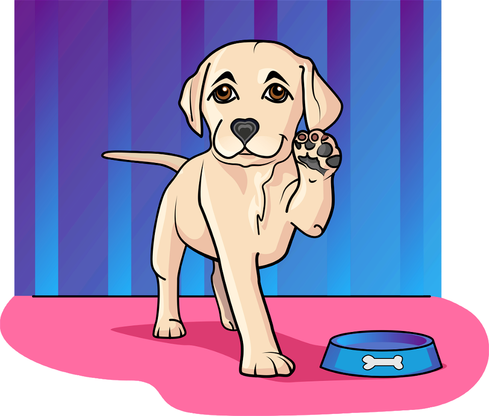 Labrador Puppy