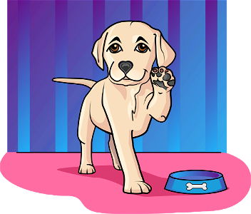 Labrador Puppy