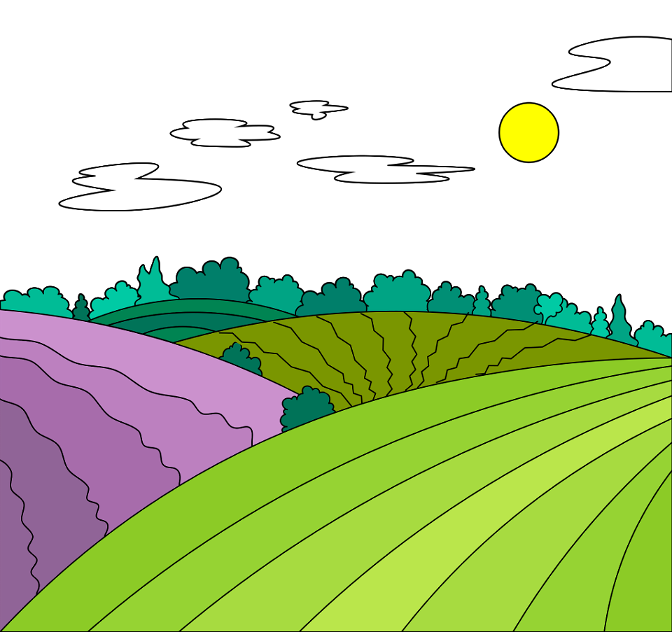 Farm Fields