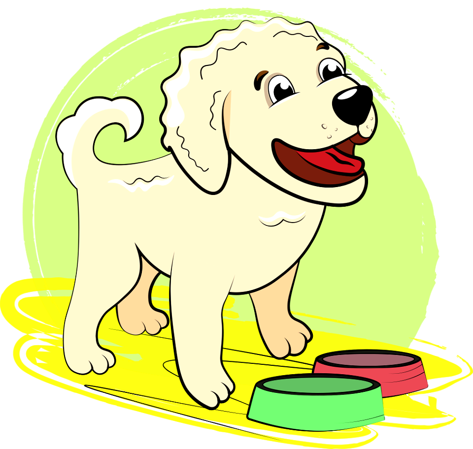 Golden Retriever Puppy
