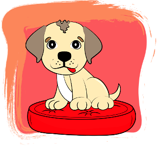 Labrador Puppy