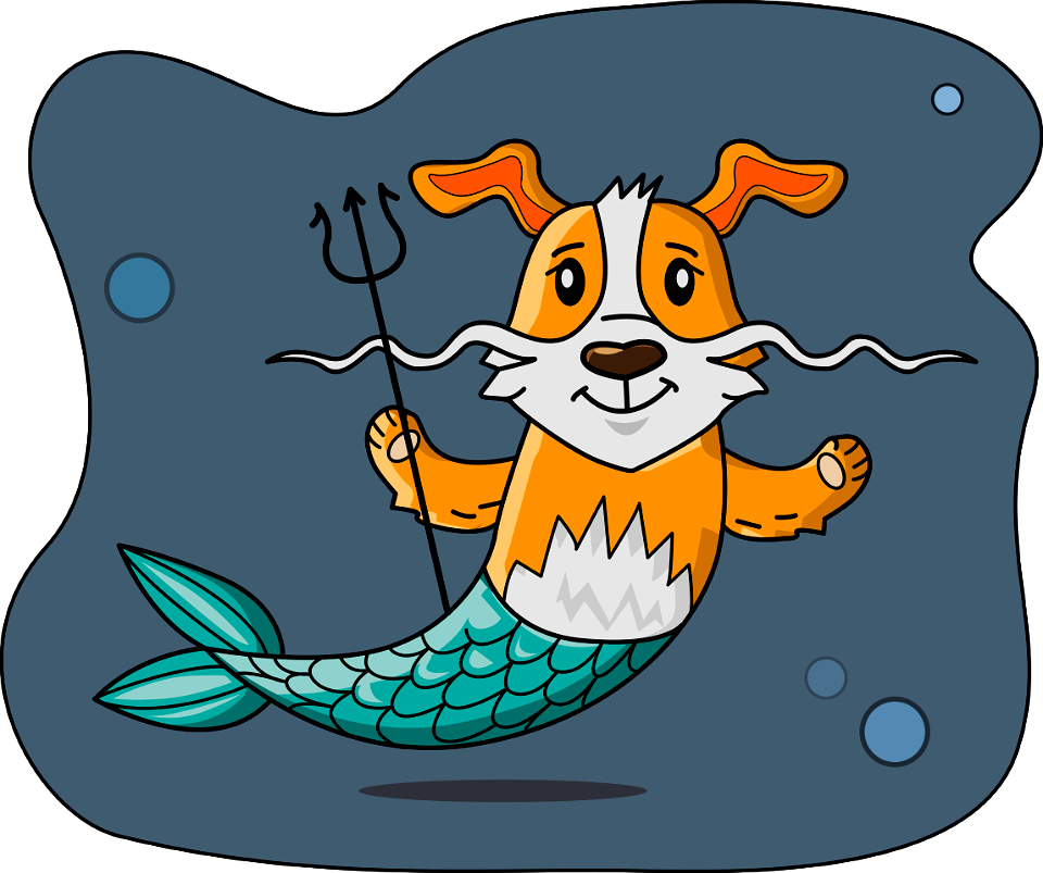 Mermaid Dog