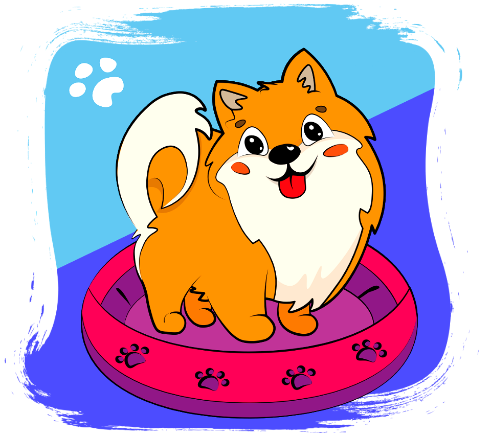 Pomeranian Puppy