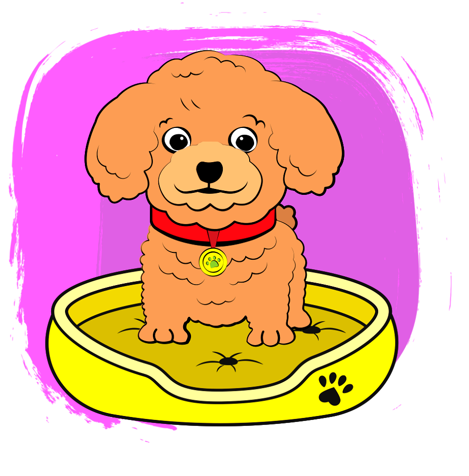 Poodle Puppy