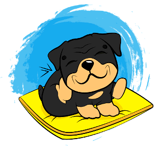 Rottweiler Puppy