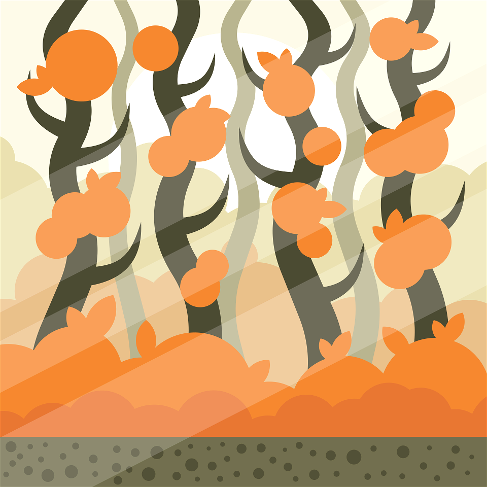 Autumn Trees