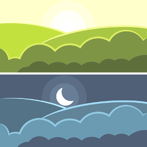 Day Night
