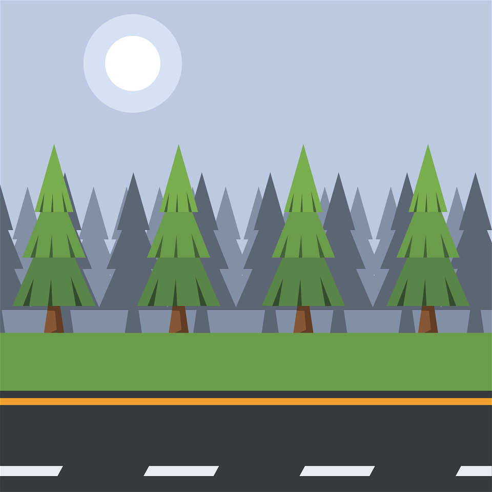 Road in the Night
