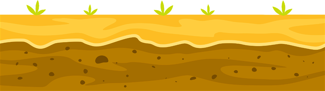Type of Soil