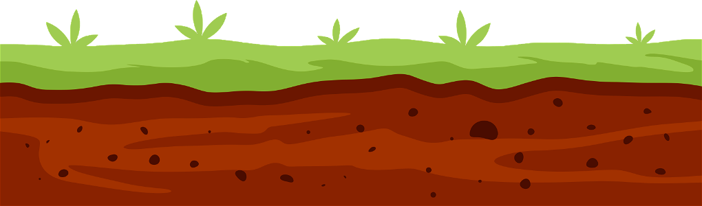 Type of Soil