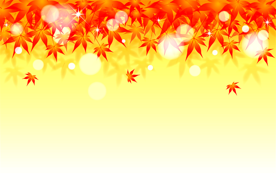 Autumn leaves maple