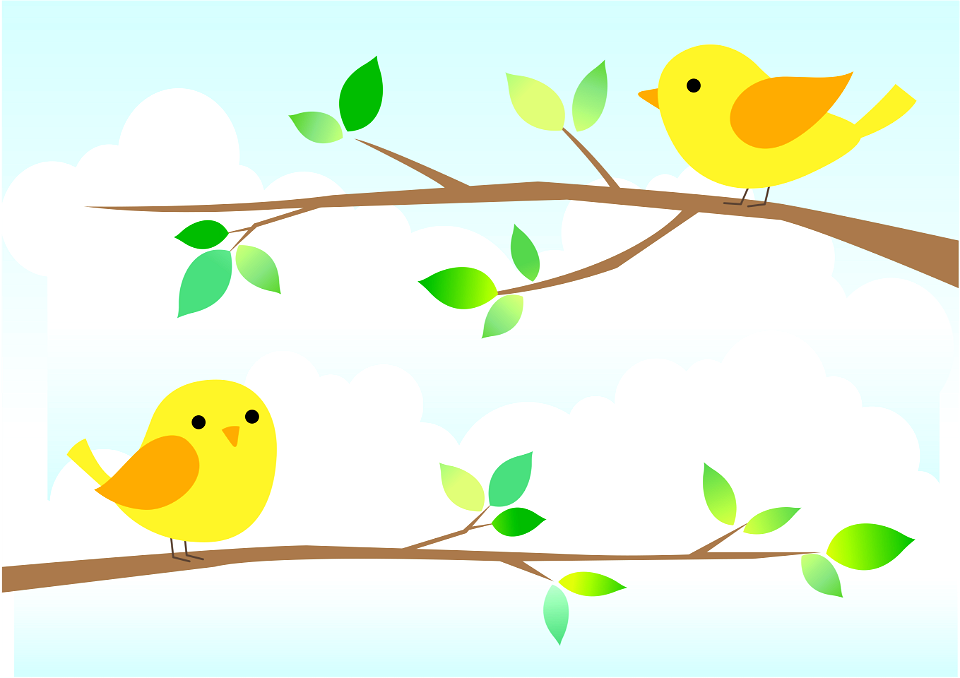 Birds on branches