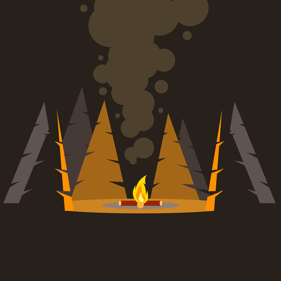 Bonfire in forest