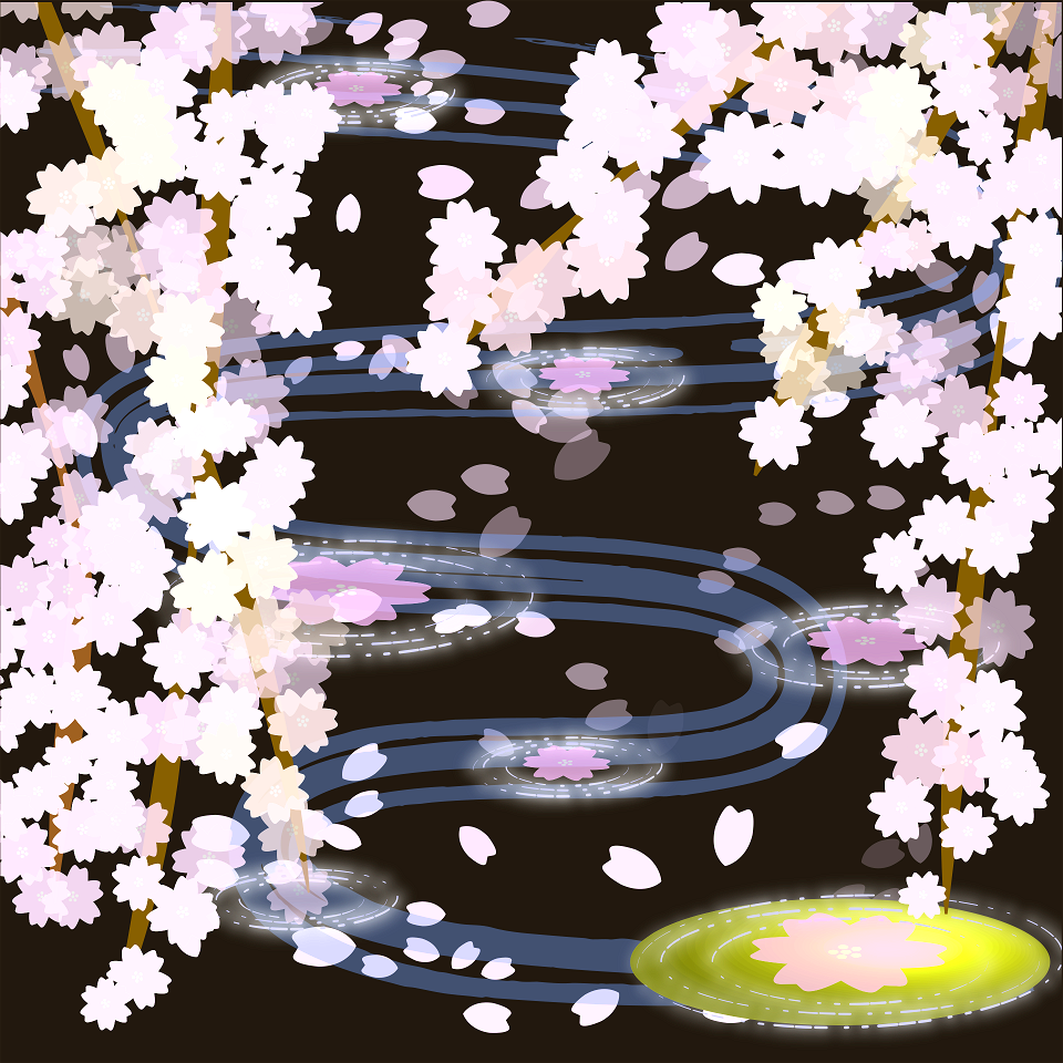 Cherry blossoms at night