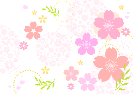 Cherry blossoms