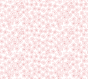 Cherry blossoms