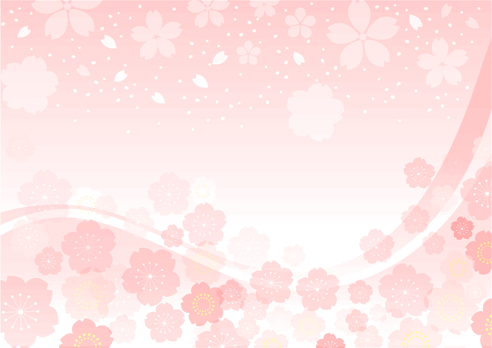 Cherry blossoms