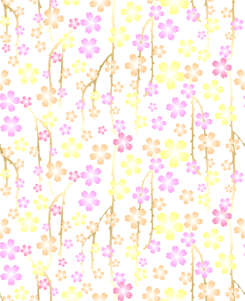 Cherry blossoms