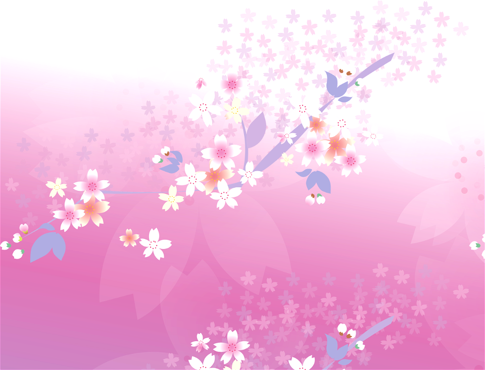 Cherry blossoms