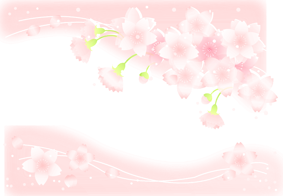 Cherry blossoms
