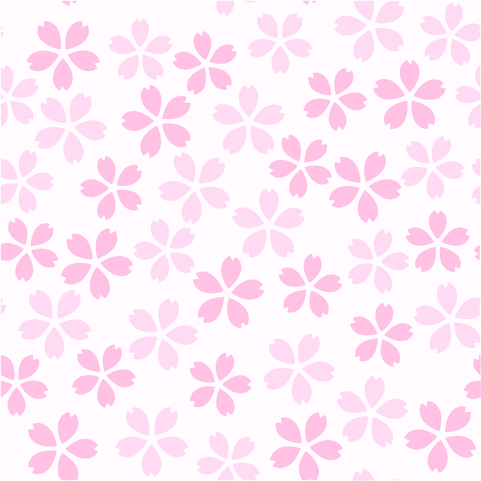 Cherry blossoms