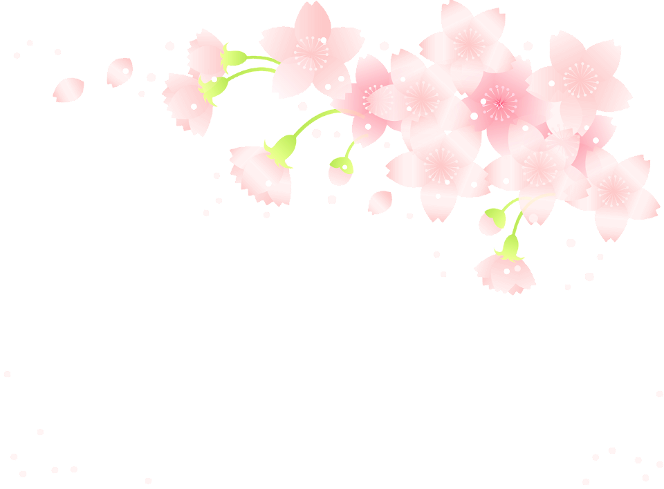 Cherry blossoms