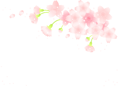 Cherry blossoms