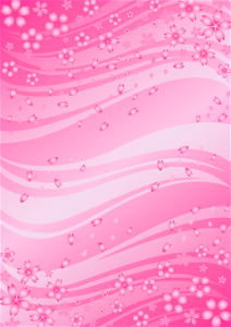Cherry blossoms