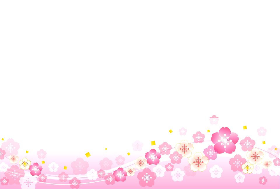 Cherry blossoms