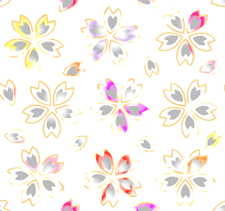 Cherry blossoms